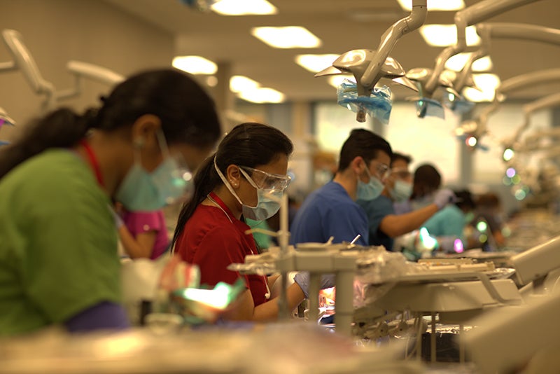 Dentistry students practicing skills on dummies