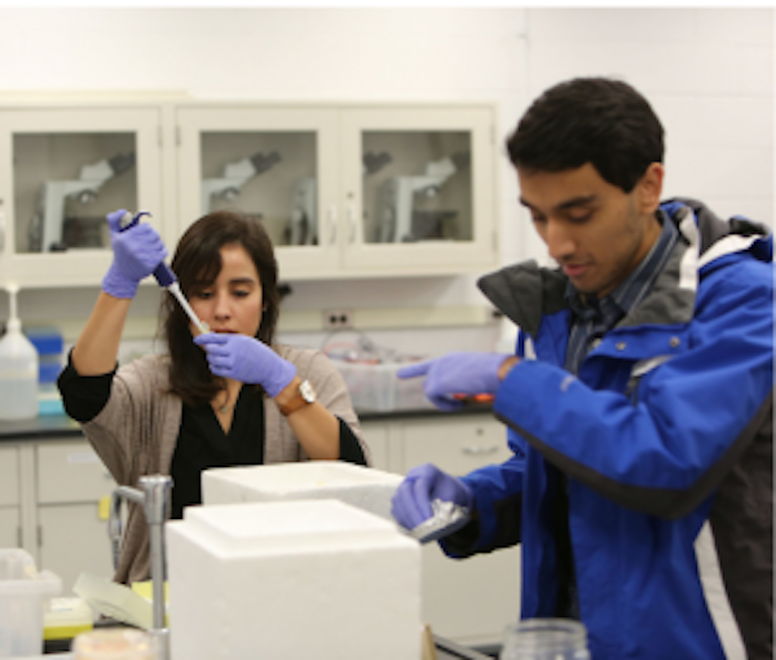 two students in a lab