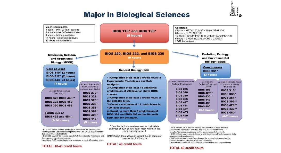 Flow Chart